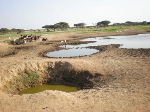 Water hole for the village of Ganforo